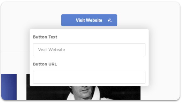 smartlink-visitwebsite-edit.png