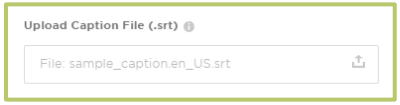 upload SRT file.png